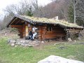 Abri-hautes bers